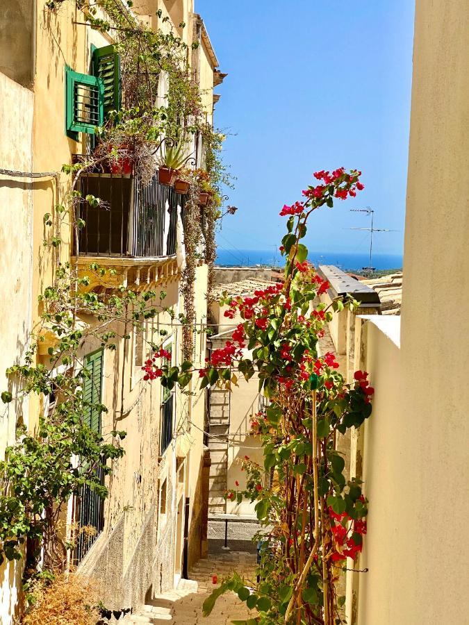 Melodia3 Suites نوتو المظهر الخارجي الصورة